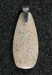 Gorgeous, Agatized Dinosaur Bone (Gembone) Pendant #84758-1